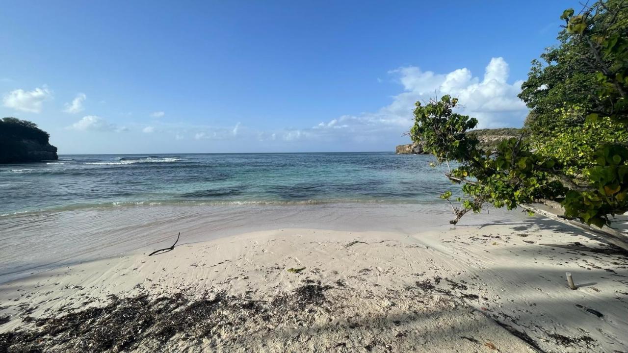 Cosy - Entre Nature Et Plages De Reve Le Gosier (Grande-Terre)